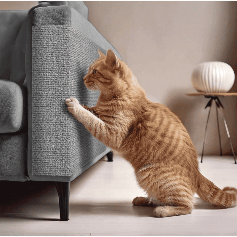 Adesivo & Arranhador Protetor de Móveis para Gatos - ProtectHome