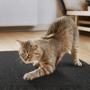 Adesivo & Arranhador Protetor de Móveis para Gatos - ProtectHome