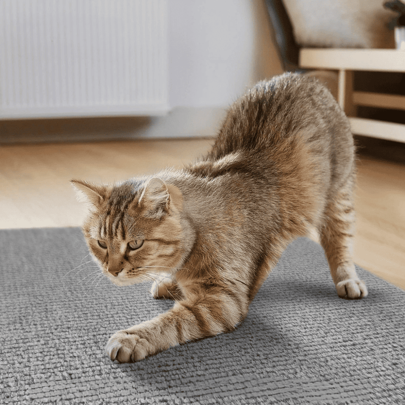 Adesivo & Arranhador Protetor de Móveis para Gatos - ProtectHome