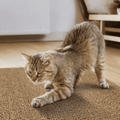 Adesivo & Arranhador Protetor de Móveis para Gatos - ProtectHome