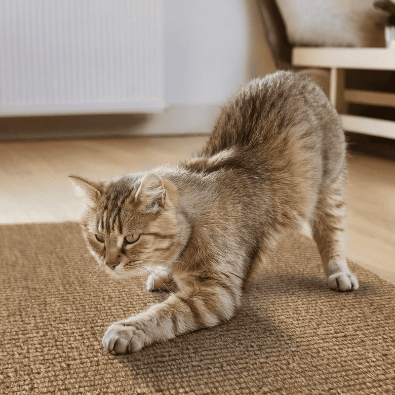 Adesivo & Arranhador Protetor de Móveis para Gatos - ProtectHome