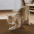 Adesivo & Arranhador Protetor de Móveis para Gatos - ProtectHome