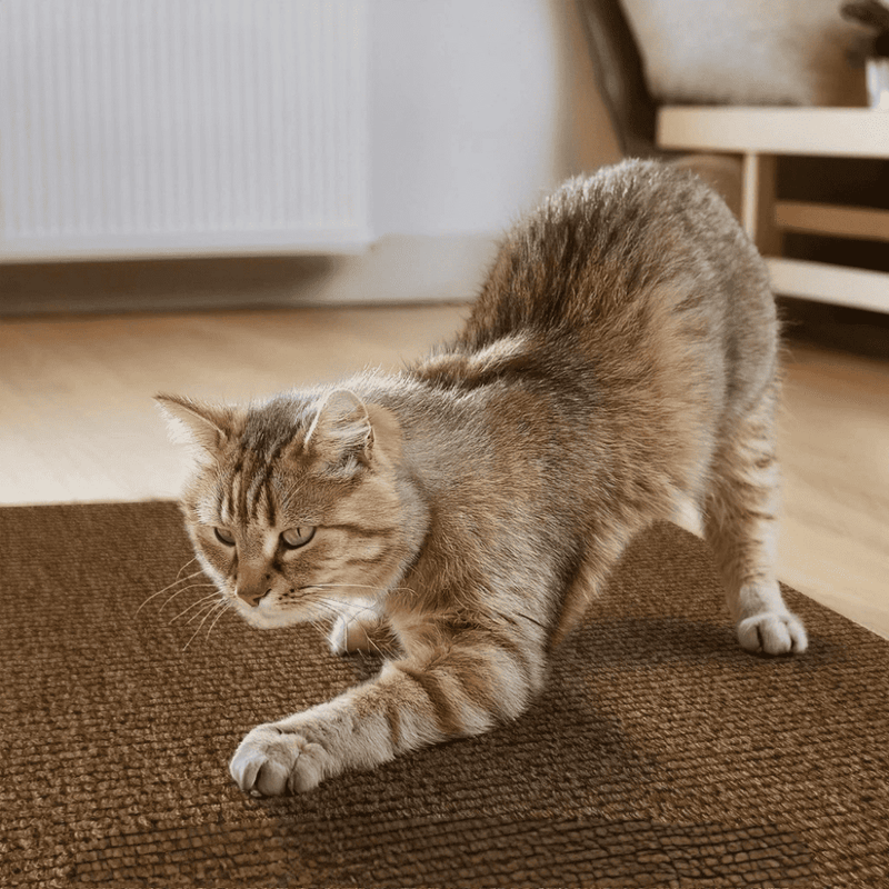Adesivo & Arranhador Protetor de Móveis para Gatos - ProtectHome