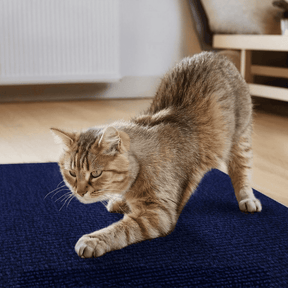 Adesivo & Arranhador Protetor de Móveis para Gatos - ProtectHome