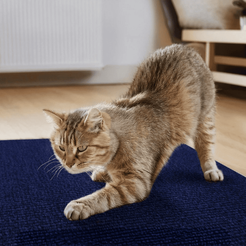 Adesivo & Arranhador Protetor de Móveis para Gatos - ProtectHome