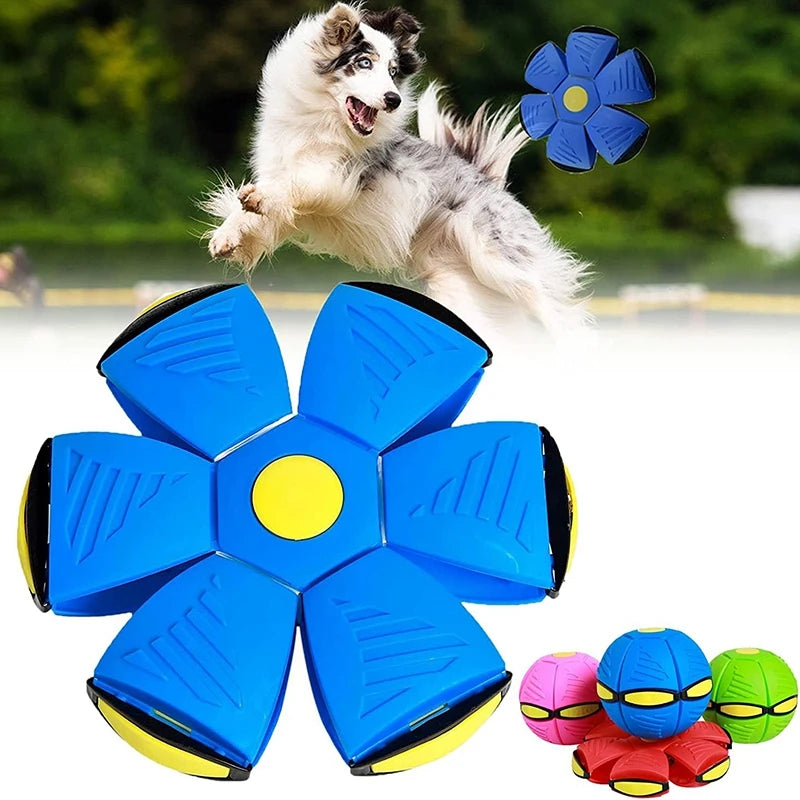 Bola Disco Voador Interativo p/ Pets - FlyBall