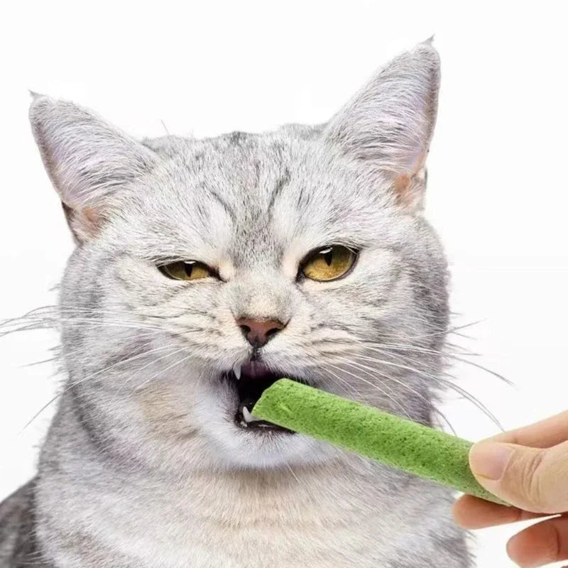 Bastões de Grama Comestíveis p/ Gatos