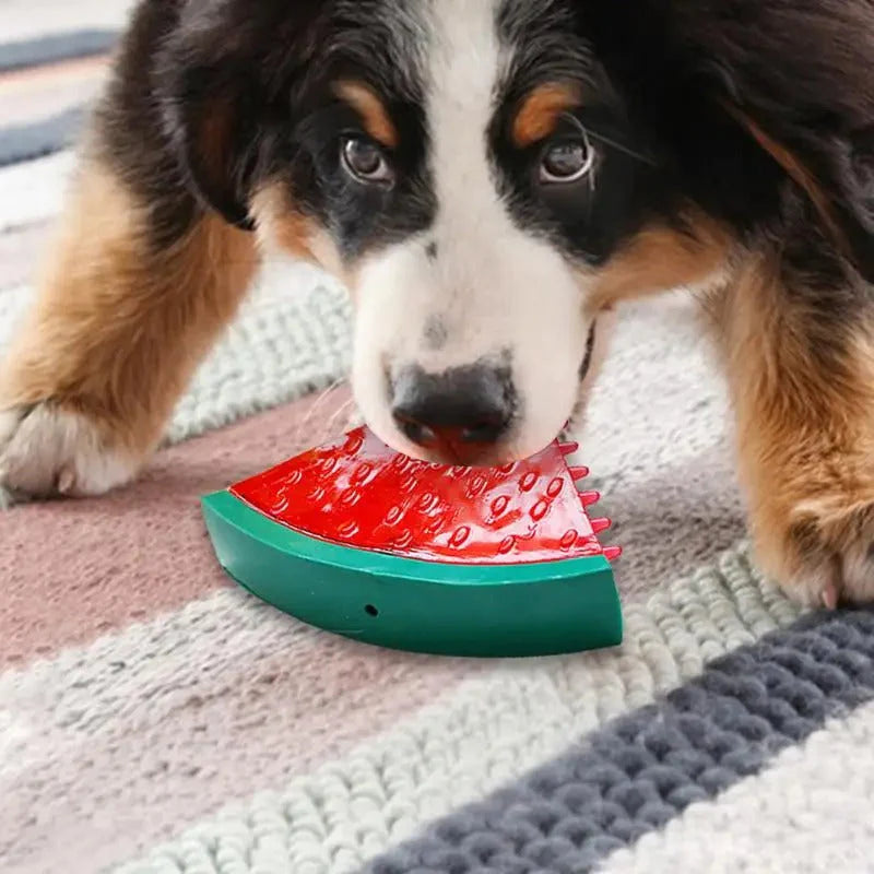 Brinquedo Mordedor Frutas Flutuante para Cães