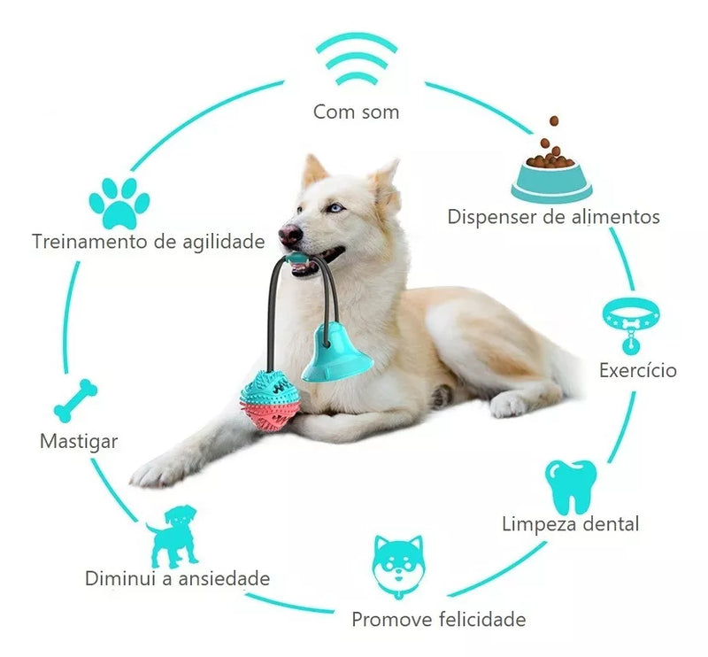 Puxador Interativo c/ Ventosa para Cães