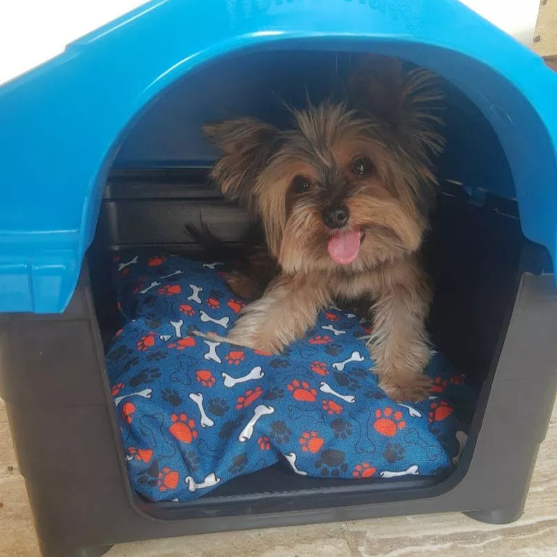 Casinha de Cachorro - Chaminé