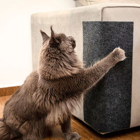 Adesivo & Arranhador Protetor de Móveis para Gatos - ProtectHome