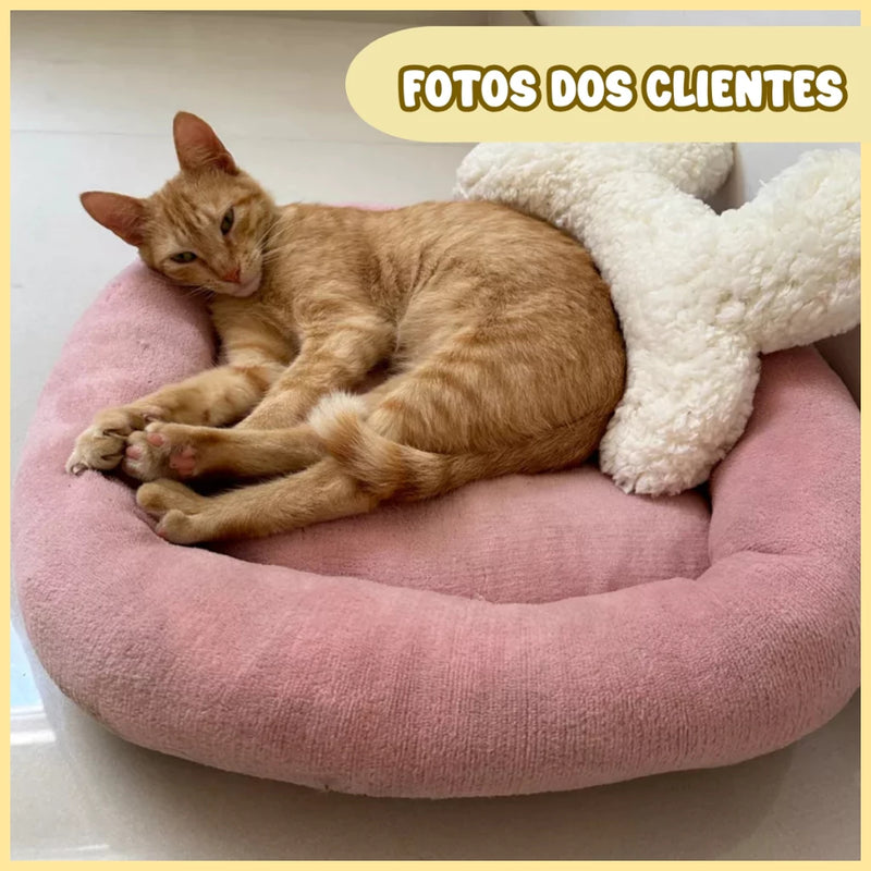 Meow Cama - PataMacia