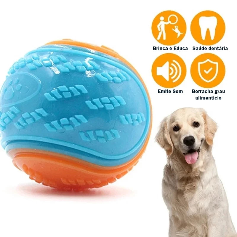Bolinha Divertida - ToyDog