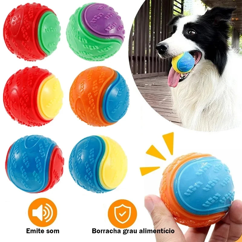 Bolinha Divertida - ToyDog