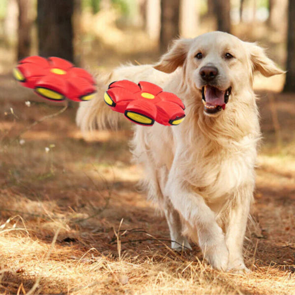 Bola Disco Voador Interativo p/ Pets - FlyBall