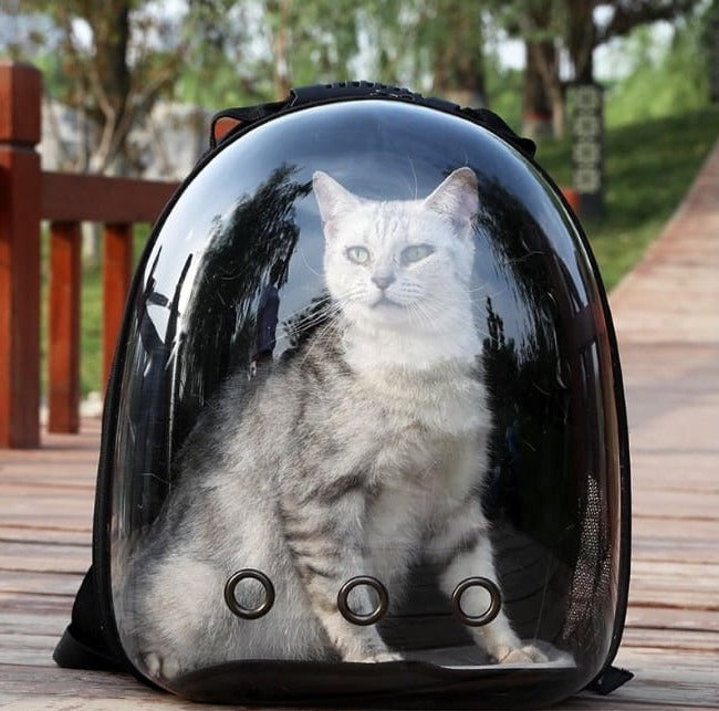 MeowMochila Pet Visao Panoramica - VisionPet