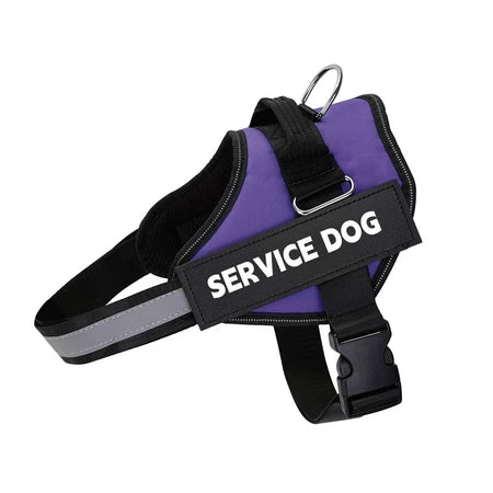 Coleira Peitoral Refletiva Personalizada - ConfortMax