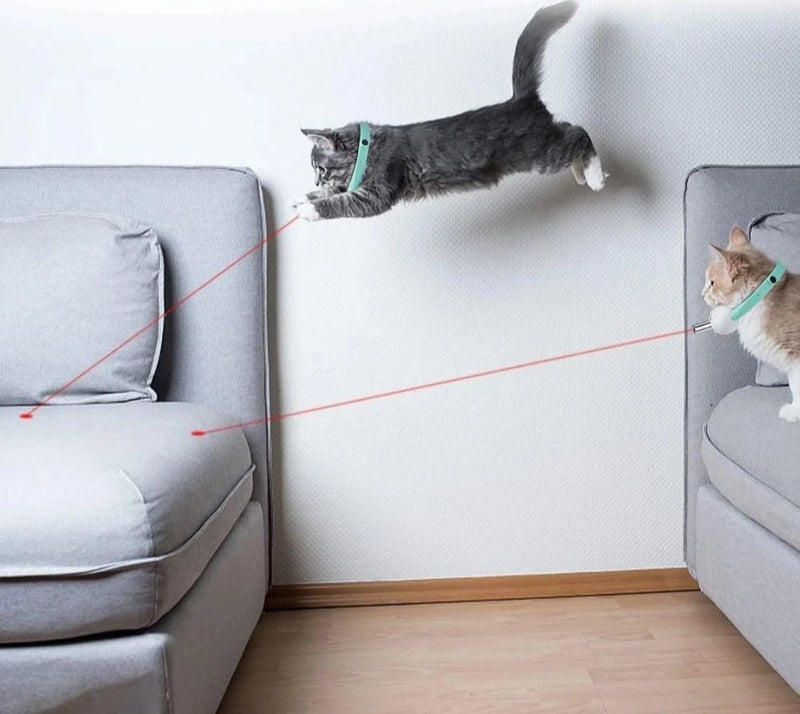 Coleira Laser para Gatos - RayRed