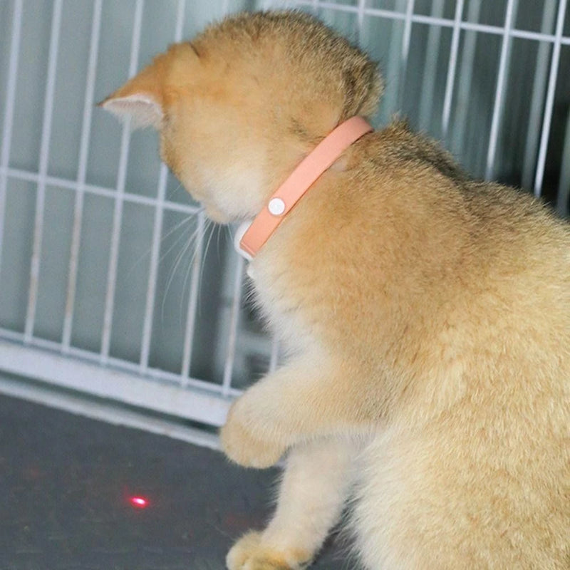 Coleira Laser para Gatos - RayRed